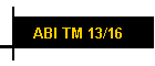 ABI TM 13/16