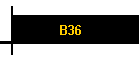 B36