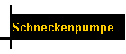 Schneckenpumpe